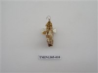 藏品(尺蠖蛾科)的圖片